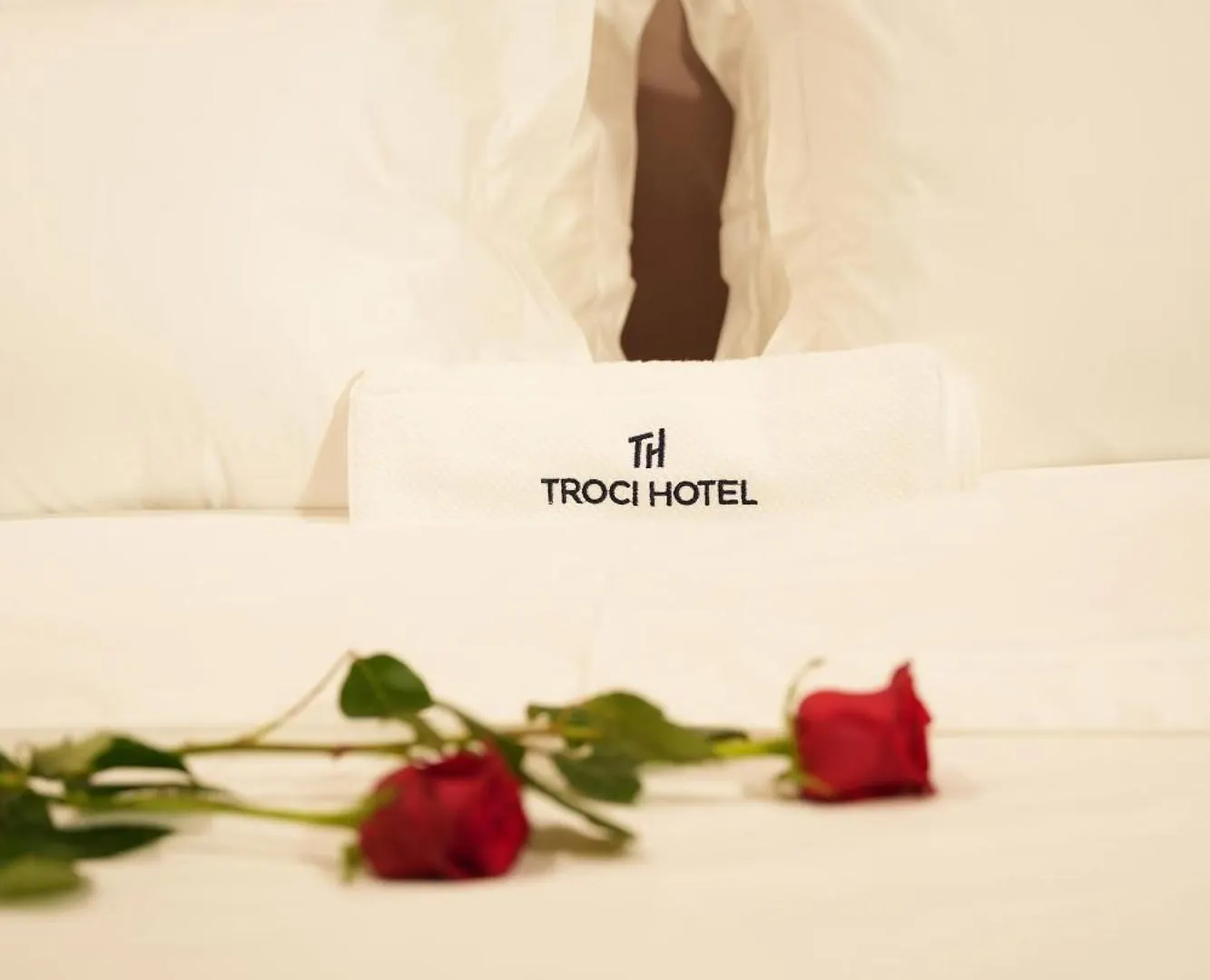 Troci Hotel Kamez