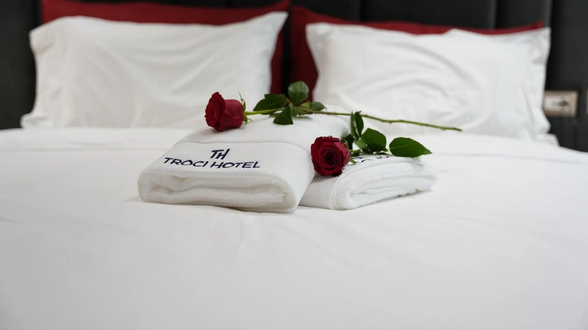 *****  Troci Hotel Kamez Albania