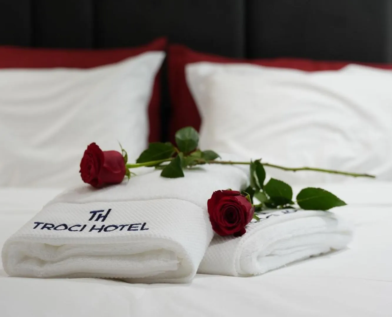 Troci Hotel Kamez