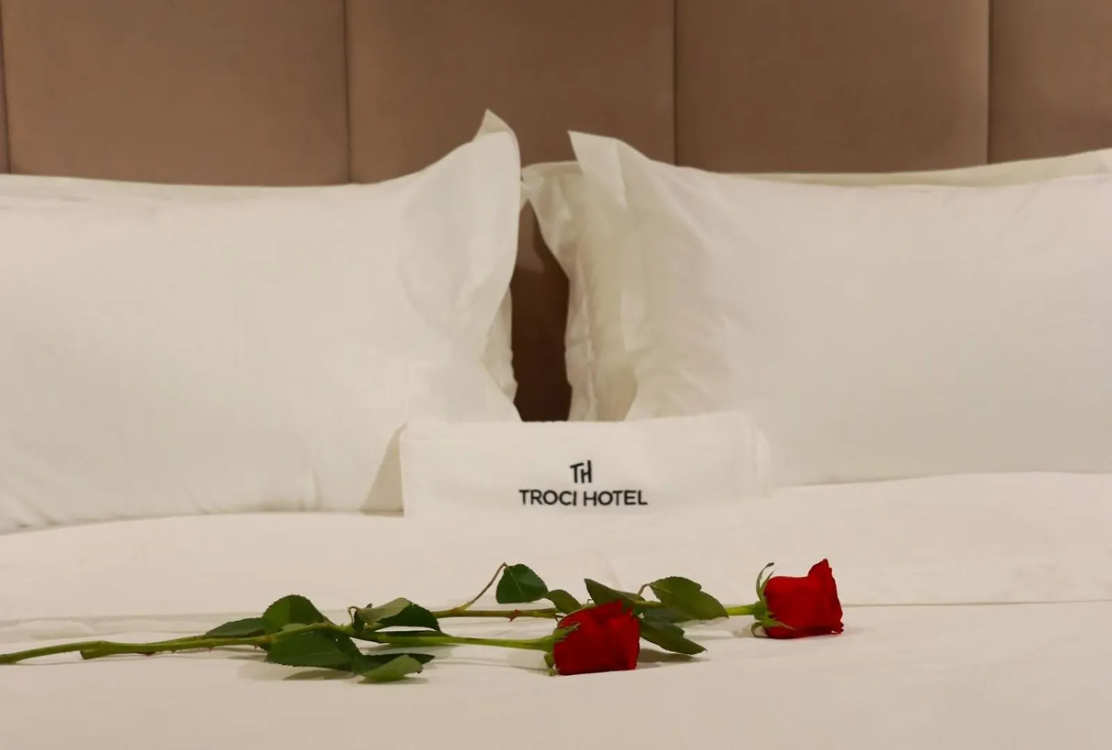 Troci Hotel Kamez